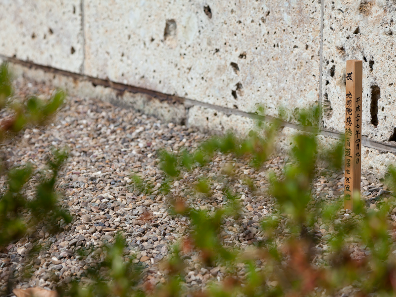 スライドショー